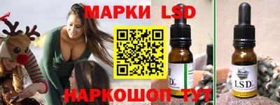 спиды Моздок