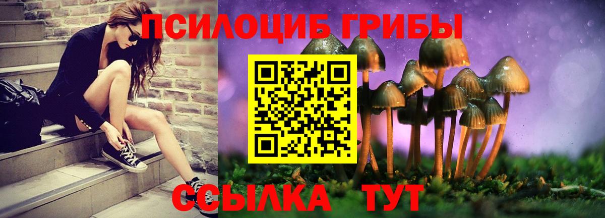 Славгород  Галлюциногенные грибы Psilocybine cubensis  Вход с VPN  Псилоцибиновые грибы прущие грибы 