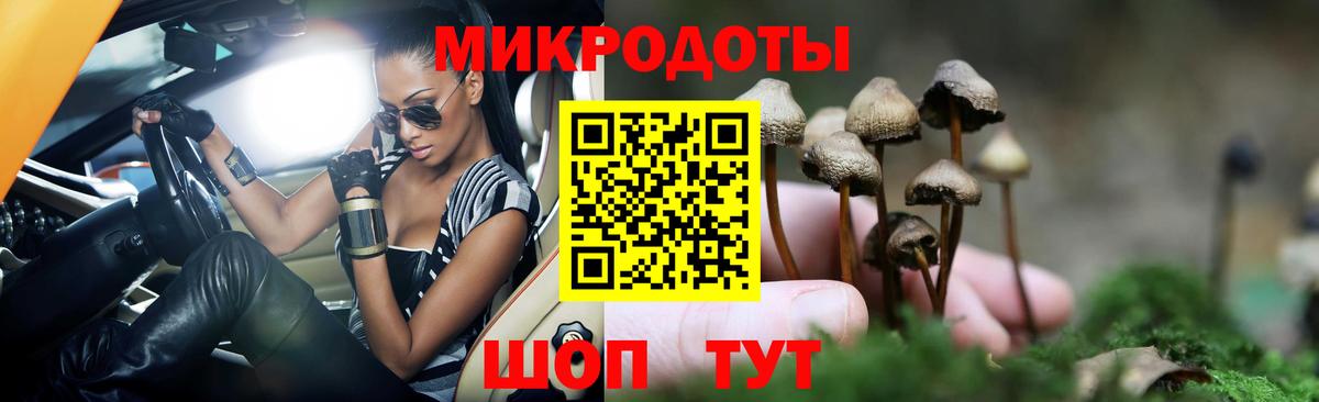 Псилоцибиновые грибы Psilocybine cubensis Славгород