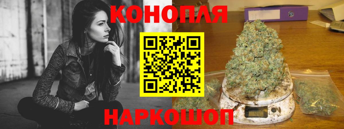 Конопля конопля Славгород
